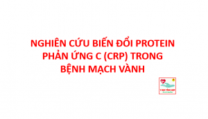 Nghiên Cứu 7 crp
