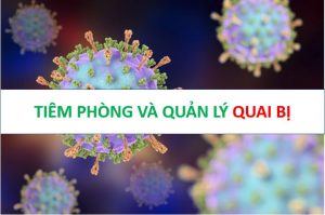 tiem phong va quan ly quai bi