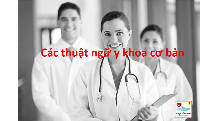 Các thuật ngữ y khoa cơ bản