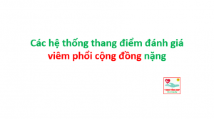 Nghiên Cứu 5 vpcd