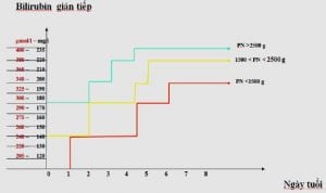 chỉ định điều trị vàng da