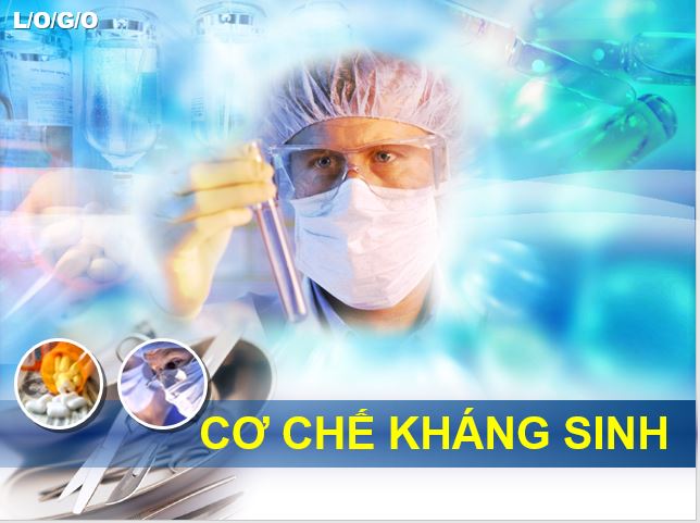 Cơ chế tác dụng của kháng sinh