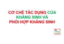 Cơ chế tác dụng của kháng sinh và phối hợp kháng sinh