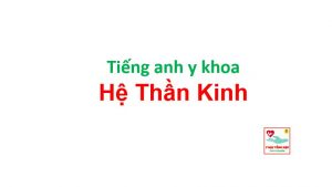 Tiếng anh y khoa hệ Thần kinh