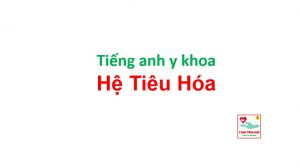 Tiếng anh y khoa hệ tiêu hóa