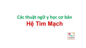 Thuật ngữ y học tiếng anh cơ bản hệ Tim Mạch