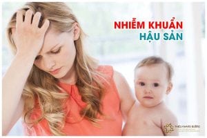 22 nhiem khuan hau san