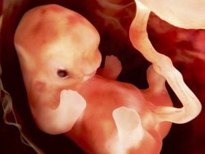 thai cham phat trien trong tu cung phac do bo y te