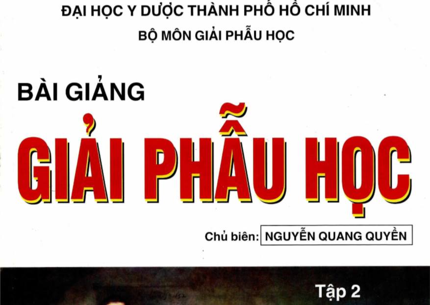 Bài giảng Giải Phẫu Học - Nguyễn Quang Quyền | Tập 2