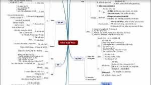 Tổng hợp Mindmap Ngoại Khoa