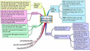 Tổng hợp Mindmap Nội Khoa