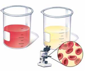 Tiểu máu ở trẻ em