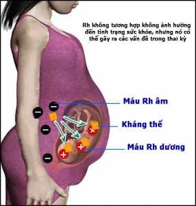 Tương Hợp Rhesus D