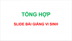 Tổng hợp slide bài giảng Vi Sinh