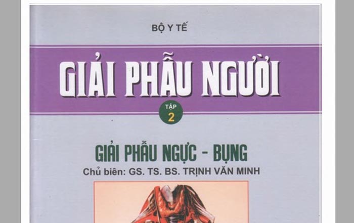 [PDF] Giải Phẫu Người - Trịnh Văn Minh (Tập 2)