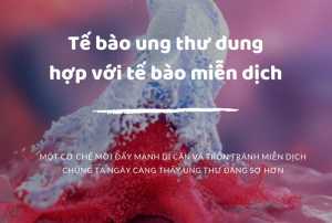 Tế bào ung thư dung hợp với tế bào miễn dịch