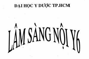 Lâm sàng Nội Y6 - ĐH Y Dược TP.HCM