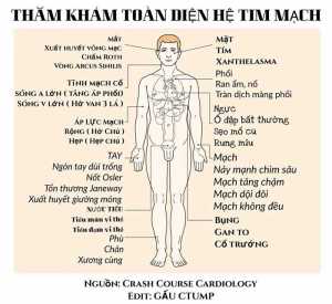 Lâm sàng tim mạch Y3