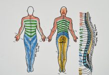 Vì sao đau lưng có thể dẫn đến yếu sinh lý?